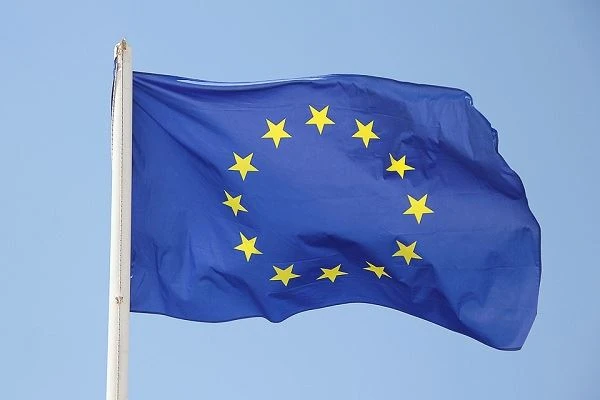 ЄС починає реєструвати імпорт китайських кріплень з вуглецевої сталі