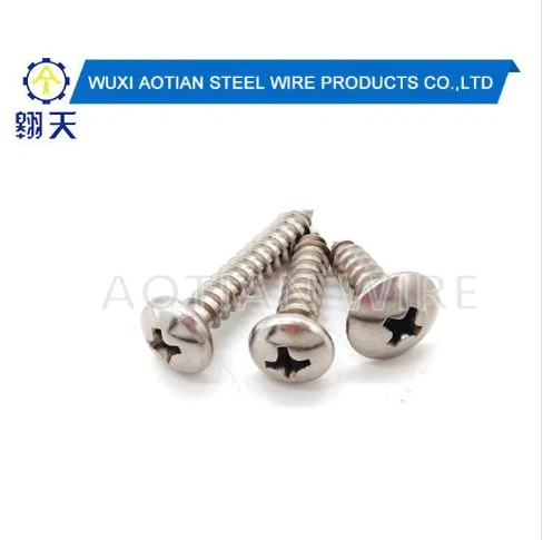 Stainless Steel Self Tapping Screw.